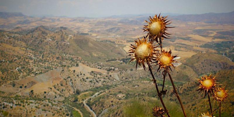 南京仁爱医院94：守护城市健康的医疗地标与全方位健康管理伙伴
