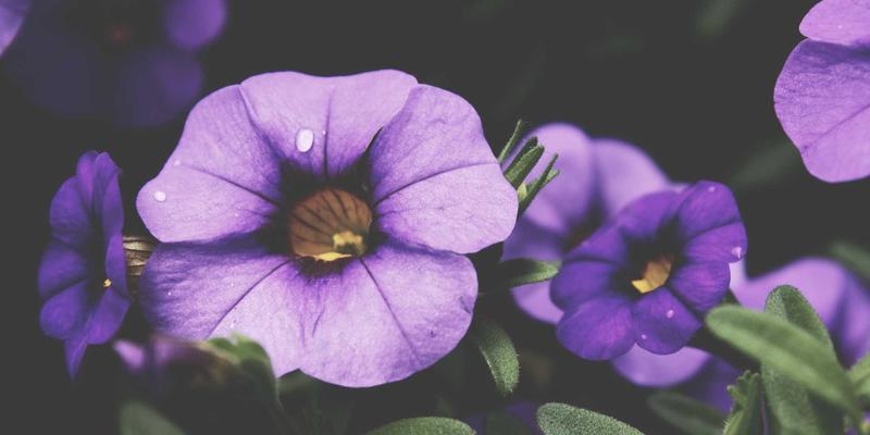 南京仁爱医院不孕不育专科：中西医结合诊疗模式如何提升妇产科医疗服务水平