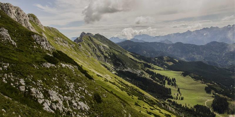 南京仁爱医院中医科：三伏贴调理慢性呼吸系统疾病全攻略（儿科/内科适用）