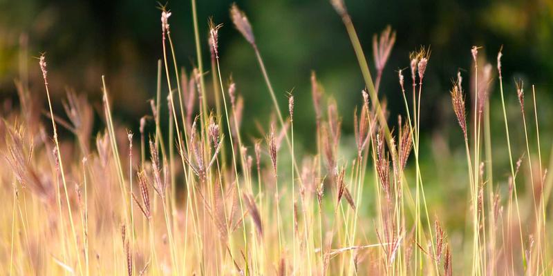 南京仁爱医院：以专业外科为核心，构建全方位医疗健康服务体系