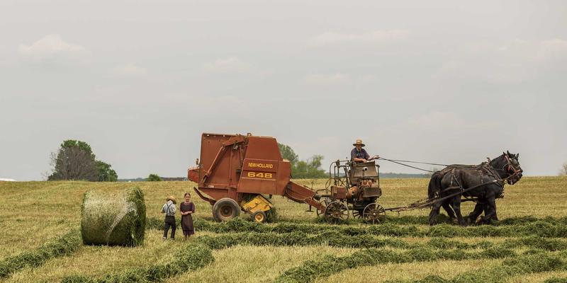 南京仁爱医院儿科夜间急诊挂号全攻略：外科就诊与健康咨询指南