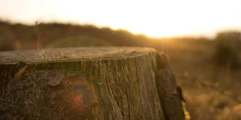南京仁爱医院儿科解析：儿童生长发育迟缓的科学评估与系统干预方法