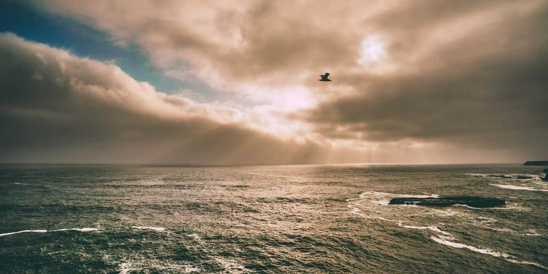 南京仁爱医院泌尿外科详解：前列腺增生的微创手术选择与科学康复指南