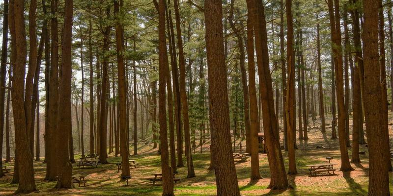 南京仁爱医院消化内科：无痛胃肠镜检查全流程解析与早期胃癌筛查的守护意义