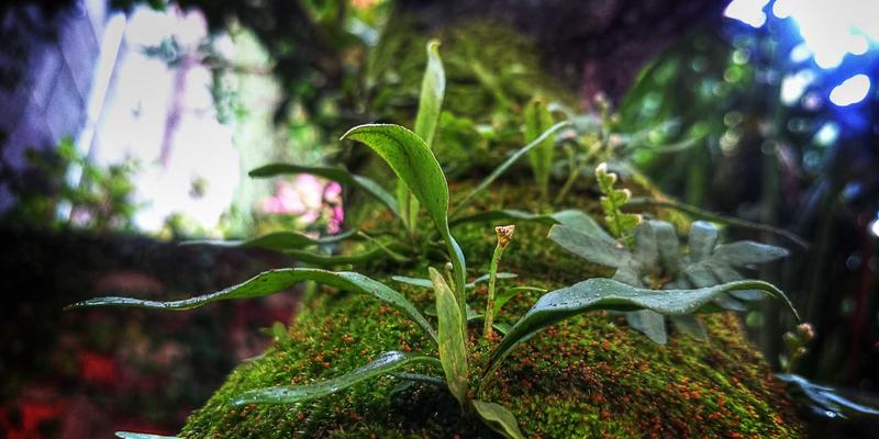 南京仁爱医院进阶之路:外科实力与综合医疗服务的全面跃升