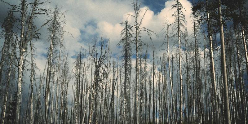 南京仁爱医院骨科解析：微创椎间孔镜技术如何重塑腰椎间盘突出治疗新标准